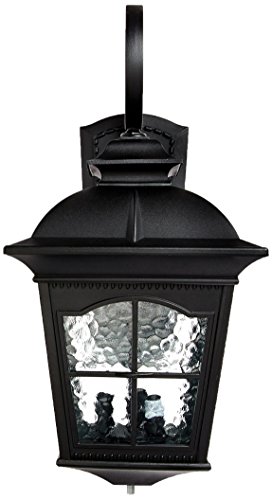 Trans Globe Lighting 5420 Bk Outdoor Briarwood 255 Wall Lantern