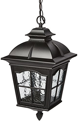 Trans Globe Lighting 5421 Bk Outdoor Briarwood 2125 Hanging Lantern